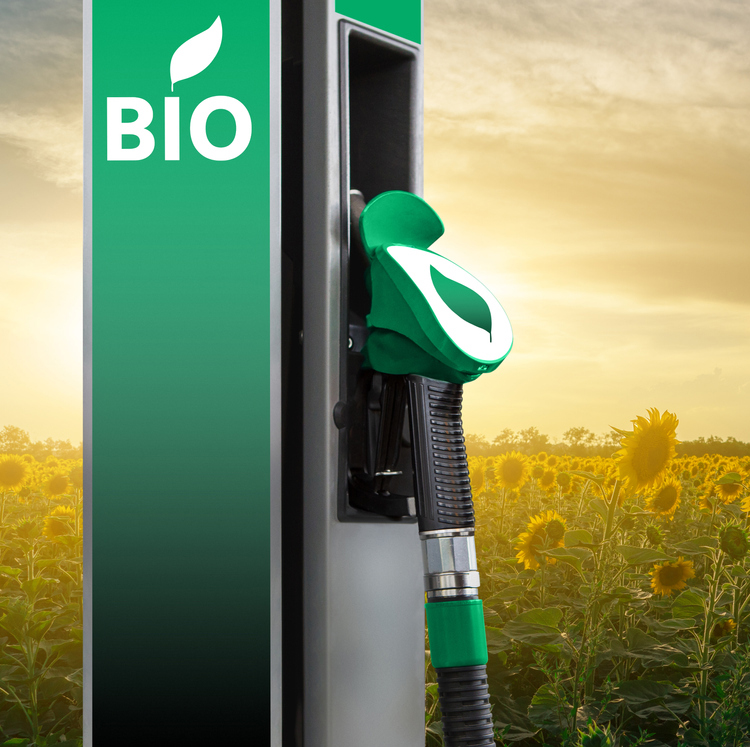 Carburanti e-fuel e biocarburanti (HVO)