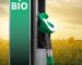 Carburanti e-fuel e biocarburanti (HVO)